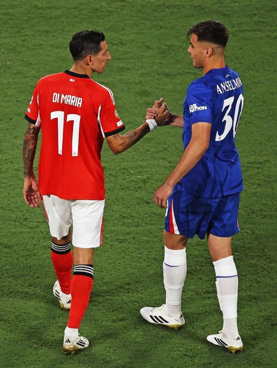 包含转会期本菲卡再遭质疑——英超节点到来；球迷炸锅；阵容厚度经受考验的词条-开云注册入口